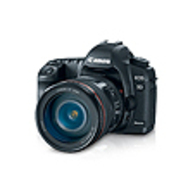 Canon EOS 50D Digital SLR Camera (body only)